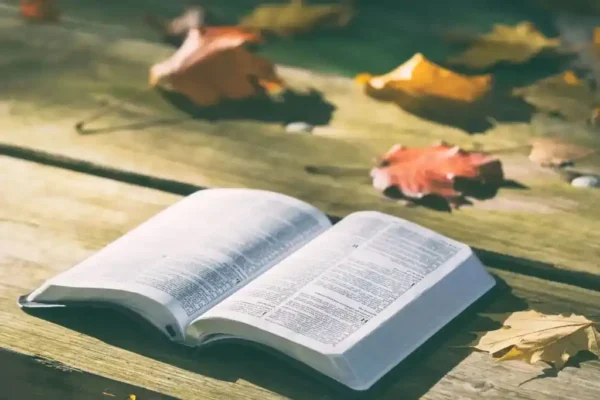Salmo 1 Os Justos e Os Ímpios 6 Salmo 1 Os Justos e Os Ímpios